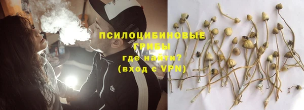 ешки Аркадак