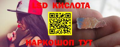 прущие крисы Моздок
