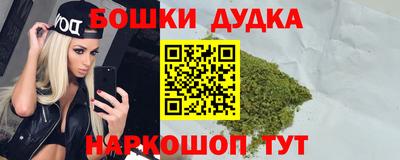 дживик Можга
