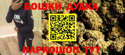 дживик Можга