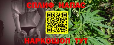 дживик Можга