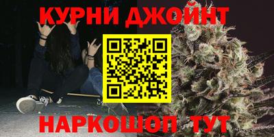 дживик Можга