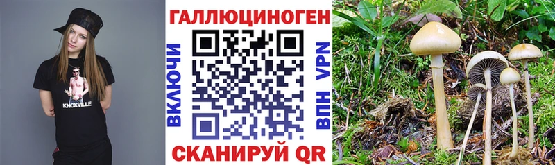 Галлюциногенные грибы Magic Shrooms  Архангельск 