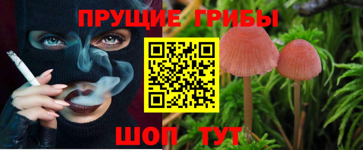Архангельск  Галлюциногенные грибы ЛСД  Псилоцибиновые грибы Psilocybine cubensis  Вход с VPN 